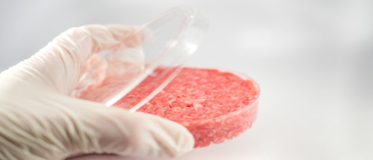 meat