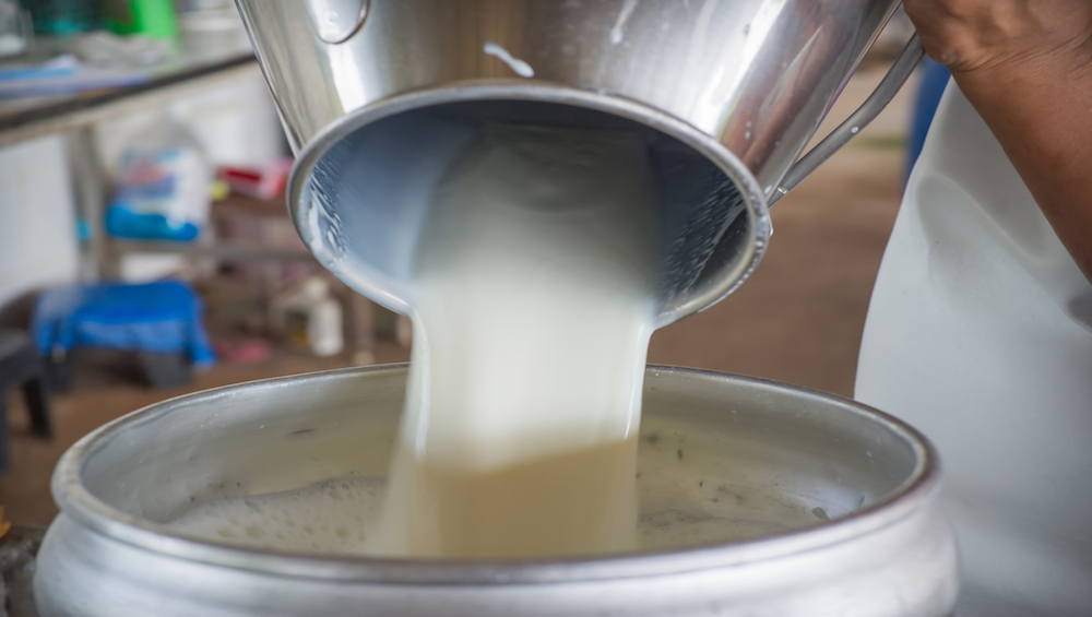 rawmilk_1000x565
