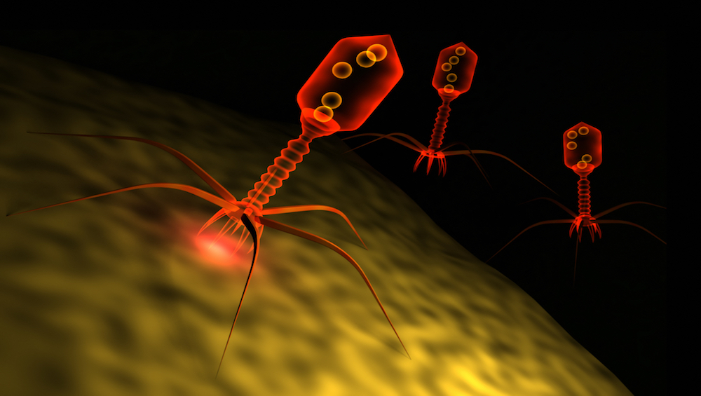 bacteriophages_1000x565