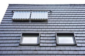 AdobeStock_154691401.jpeg