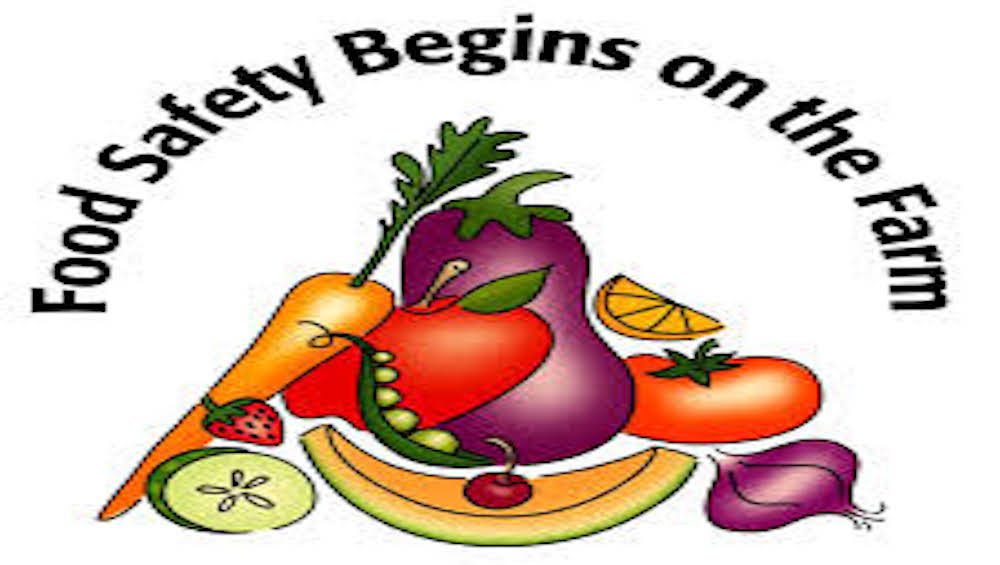 foodsafetyattachment_1000x565