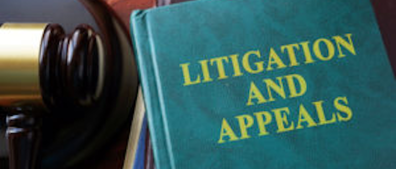 litigation and appeals