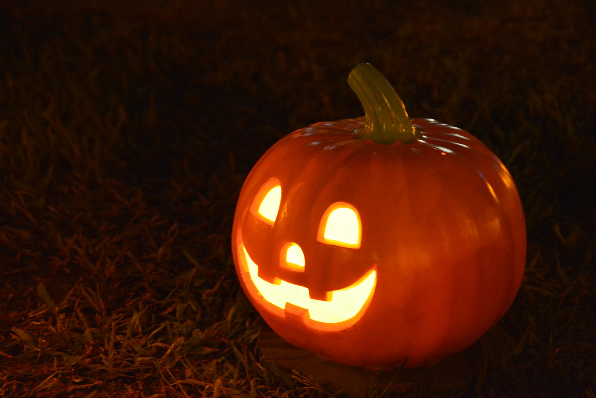 pumpkin-1544602_1920