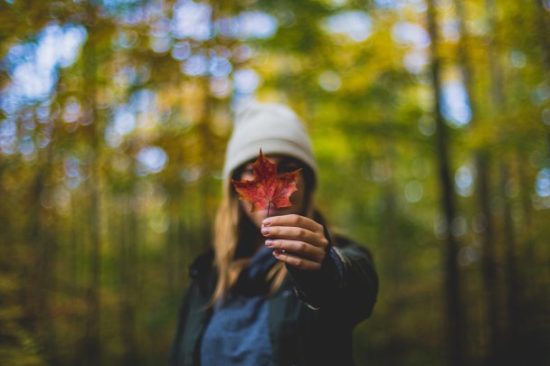 scott-walsh-382515-unsplash.jpg