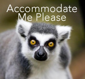 Lemur-Accommodate-300x278.jpg