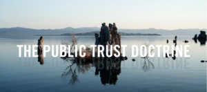 Public-Trust-300x133.png