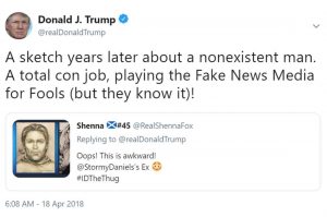 Trumps-Stormy-Tweet-wasnt-defamation-300x199.jpg