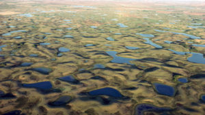 WOTUS-300x169.jpg