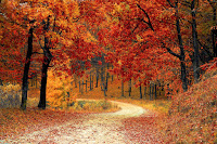 fall-1072821_1920.jpg