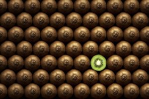 5 Elements That Will Make Your Law Firm Newsletter Stand Out in the Inbox