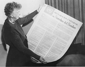 EleanorRooseveltHumanRights-300x237.png