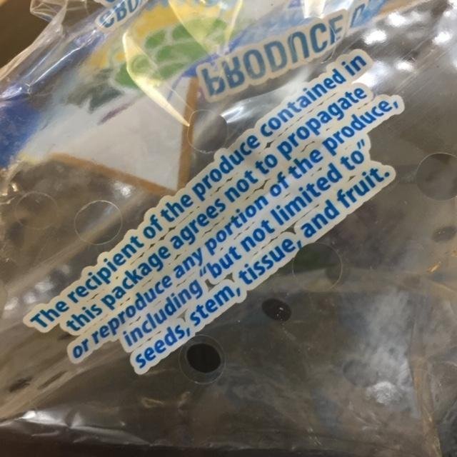 Grape-Package.jpg