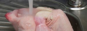 chickenwash-300x107.jpg