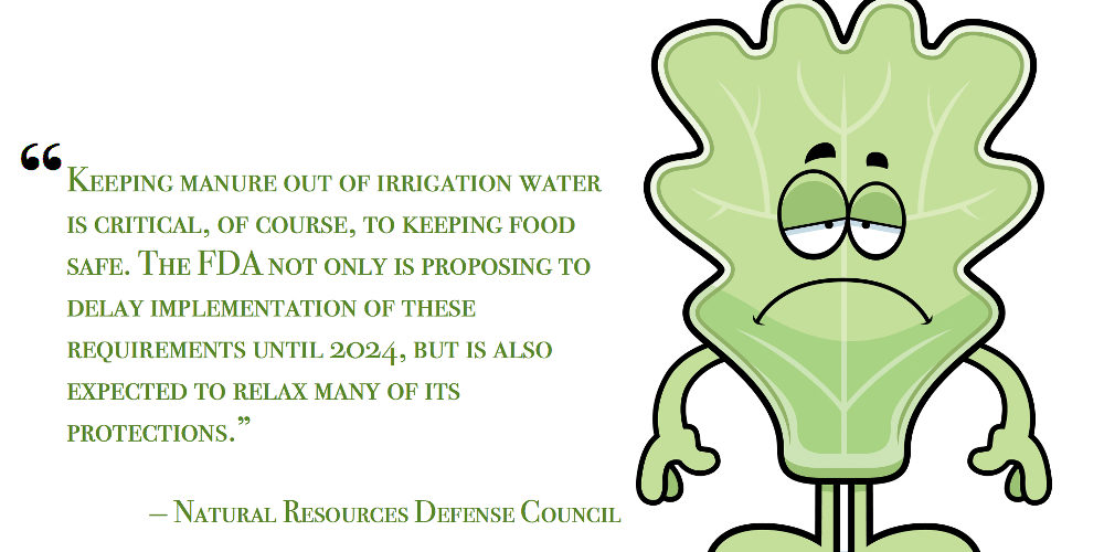 pull quote NRDC sad lettuce