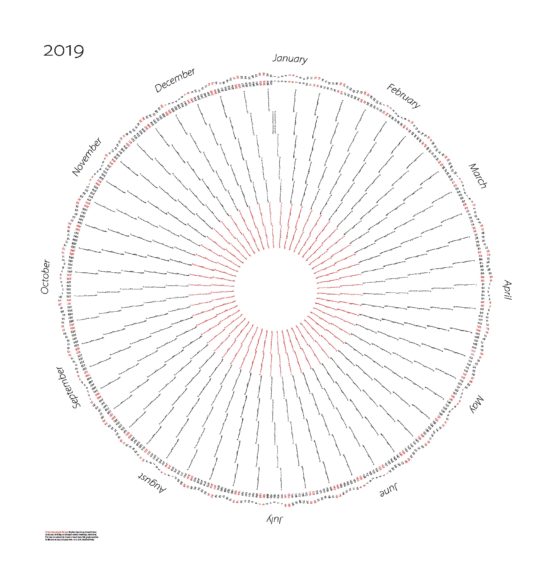 radial_2019 (003)