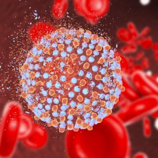 HepatitisC.jpg