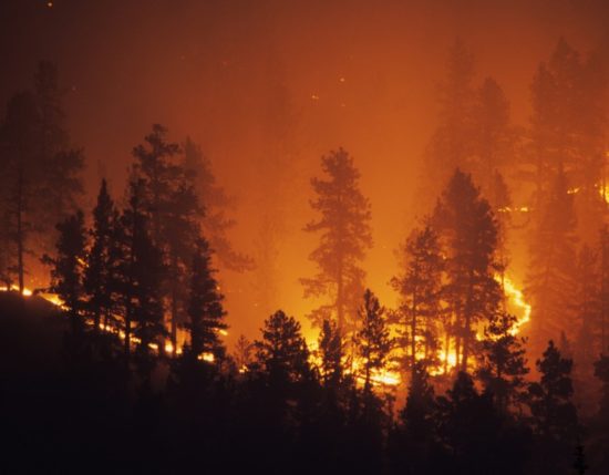 ring-of-fire-bailey-colorado-rocky-mountain-forest-wildfire-picture-id157384116 (1)