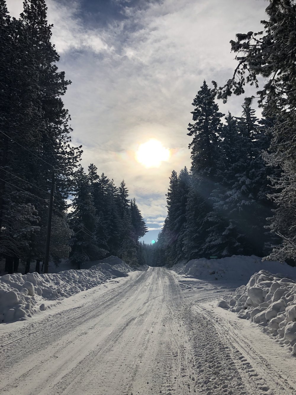 snowroad.jpg