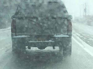the-hit-and-run-vehicle-300x225