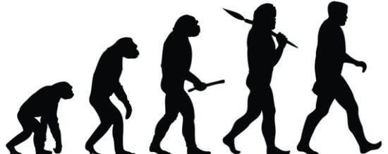 PT-AO773_EVOLUT_F_20100521192057.jpg