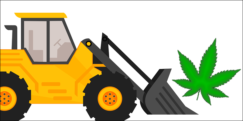 marijuana