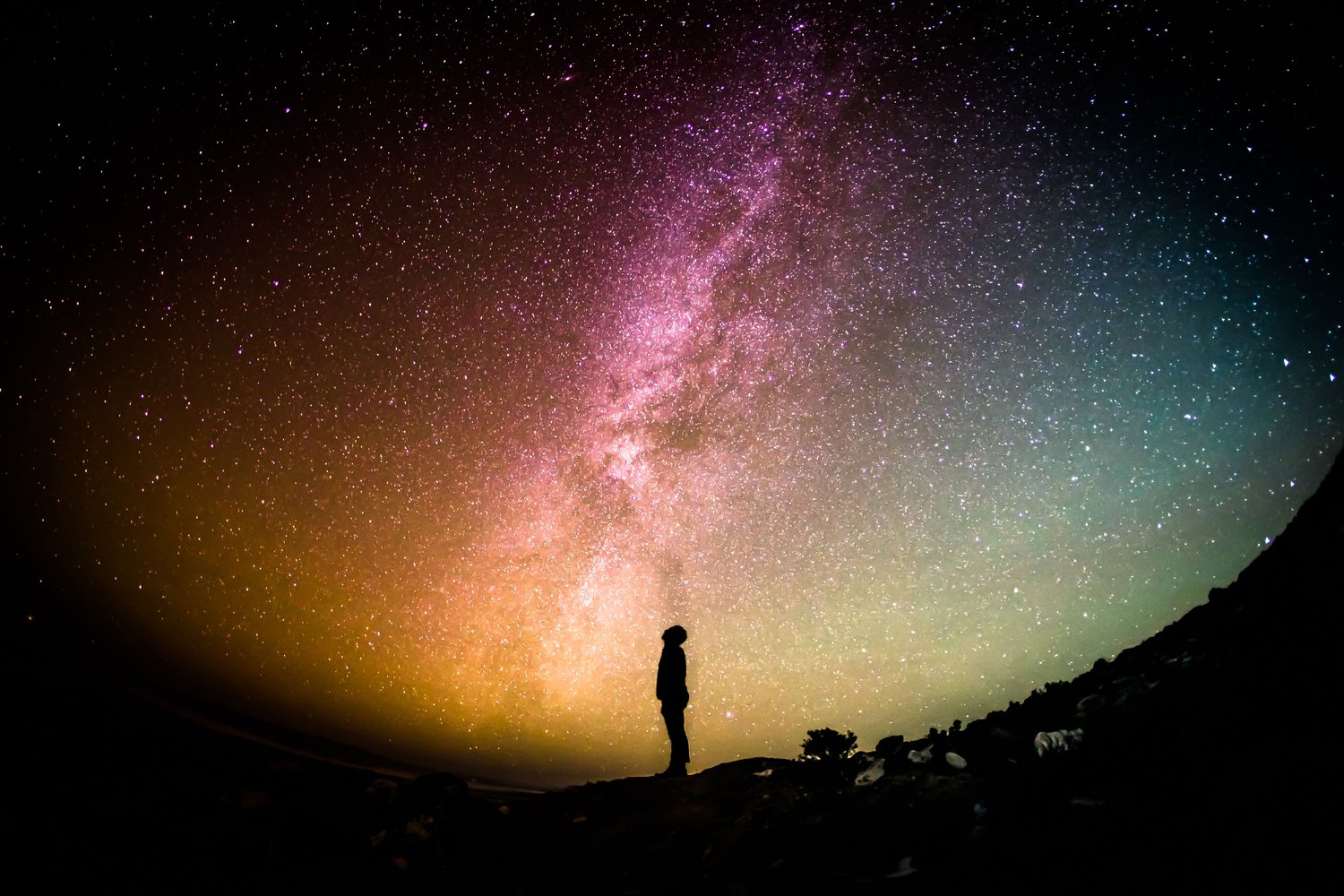 silhouette-ev.jpg