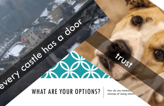 options-trust-slide.png