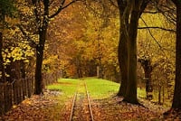 railroad-track-3963706_1920.jpeg