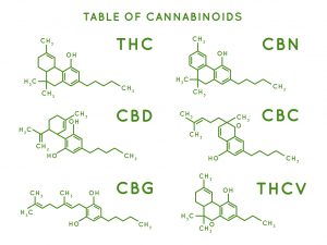 iStock-1139450307-cannibinoid-synthesis-300x225-2.jpg