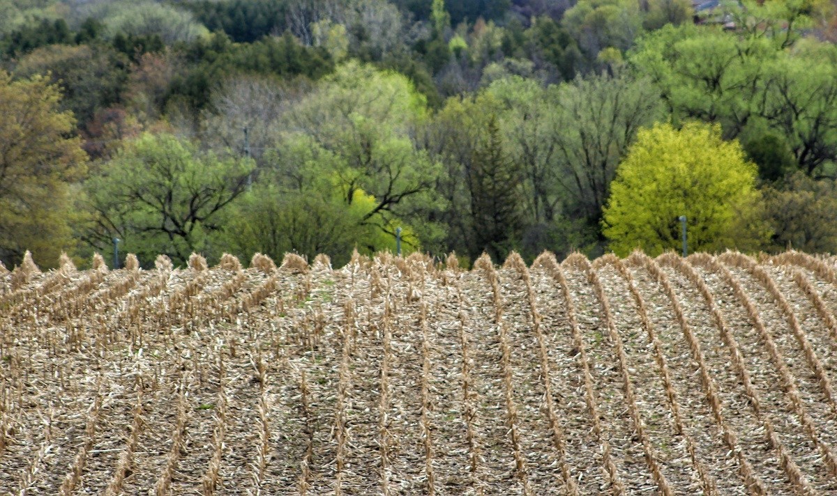 spring-fields-farming-agriculture.jpg