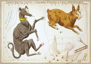 Canis-major-constellation-300x211.jpg