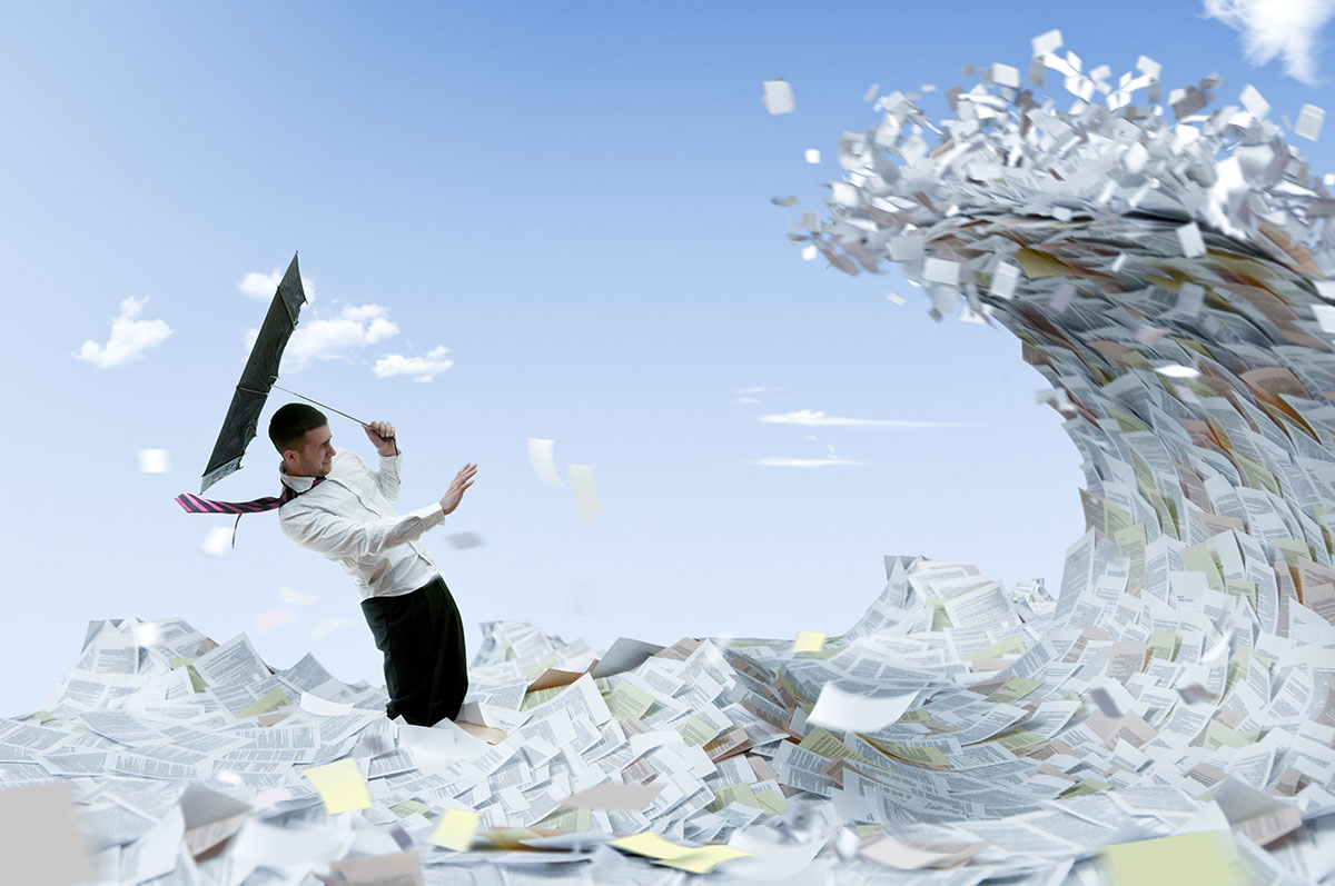 Plan Service Provider Contracts