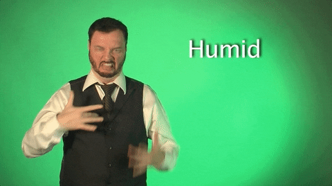 Humid
