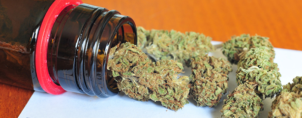Medical Marijuana in jar
