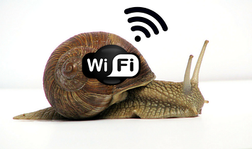 Slow WiFi snail