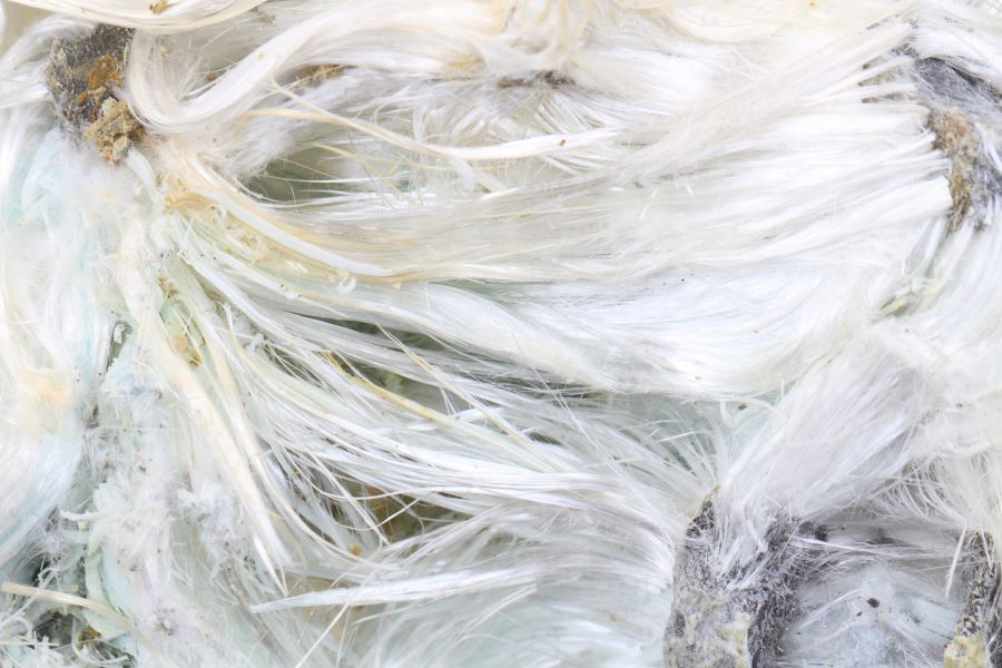 Asbestos Fiber
