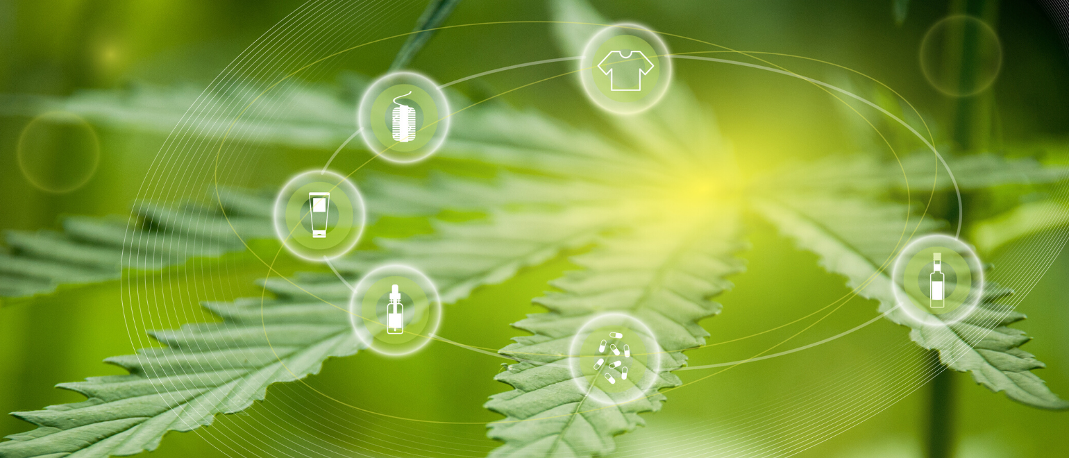 Hemp Products Blog Image