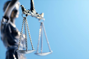 Litigation1