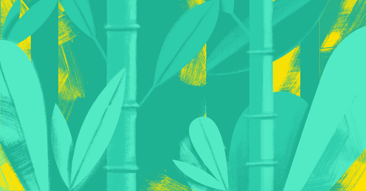 Plant_growing_1200x628.jpg