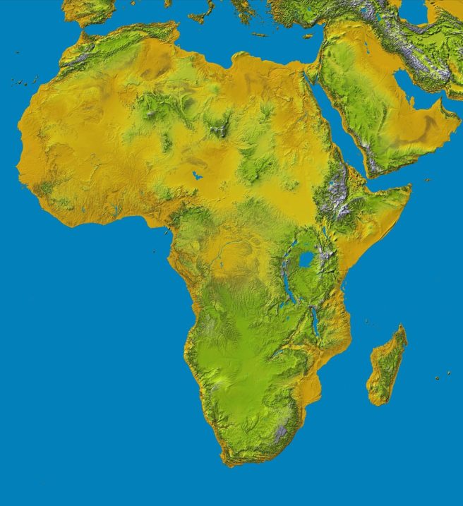 Africa lawyers