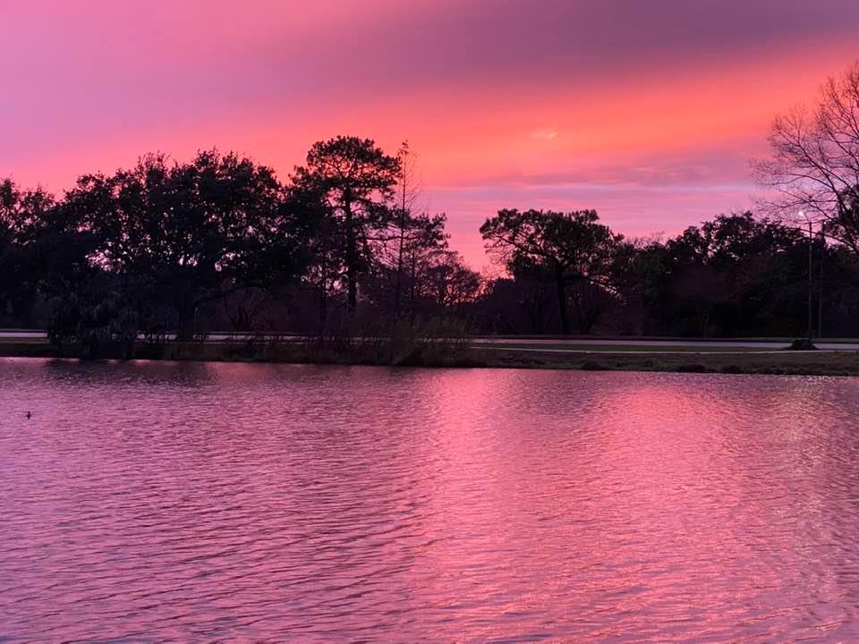 Image may contain: sky, tree, outdoor, nature and water