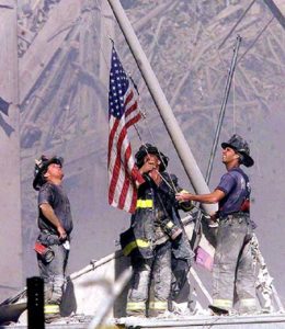 911-5-260x300.jpg