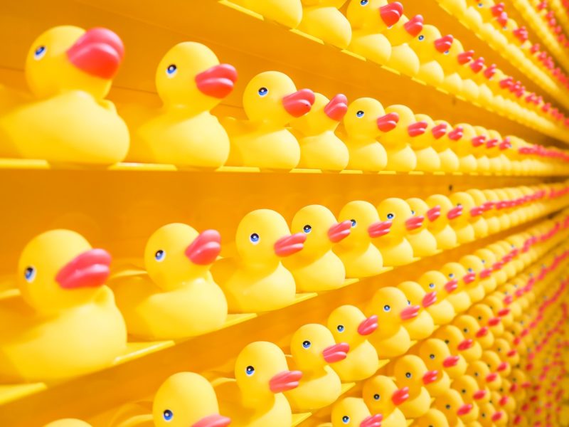 ducks-in-a-row-value-based