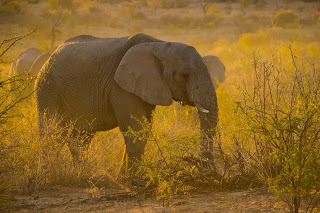 namibia-4780251_1920.jpg