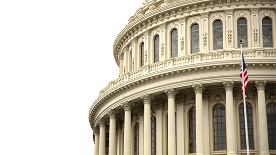 United States flag standing in front of a stone capitol building; image used for blog post about SEC proposal to change Regulation S-K