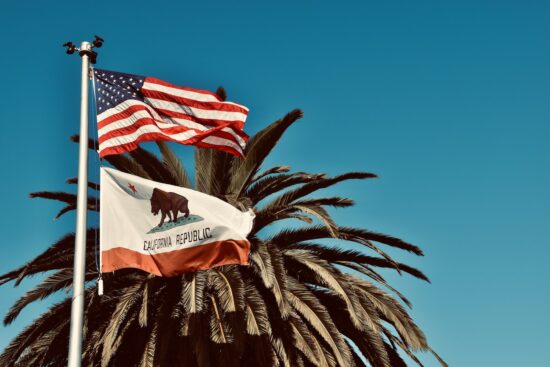 California flag with palm tree