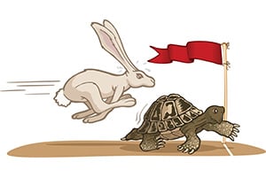 https-www-pensionsandbenefits-blog-wp-content-uploads-sites-16-2020-02-tortoise-and-hare-race-jpg