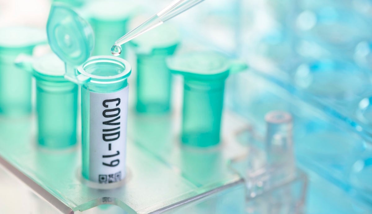 Corona virus: vial with pipette in laboratory