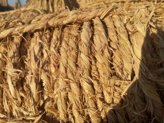 China Hemp lawyers