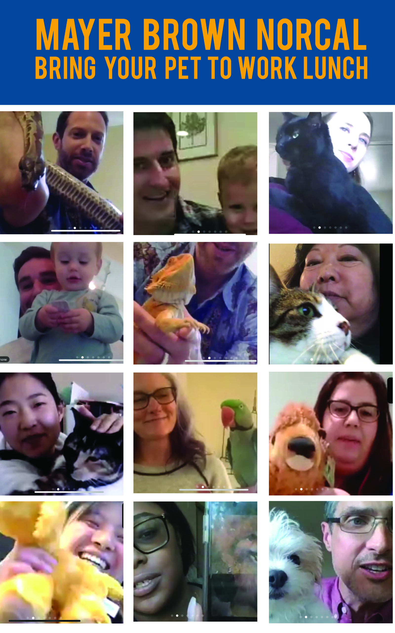 Photo collage for COVID blog7